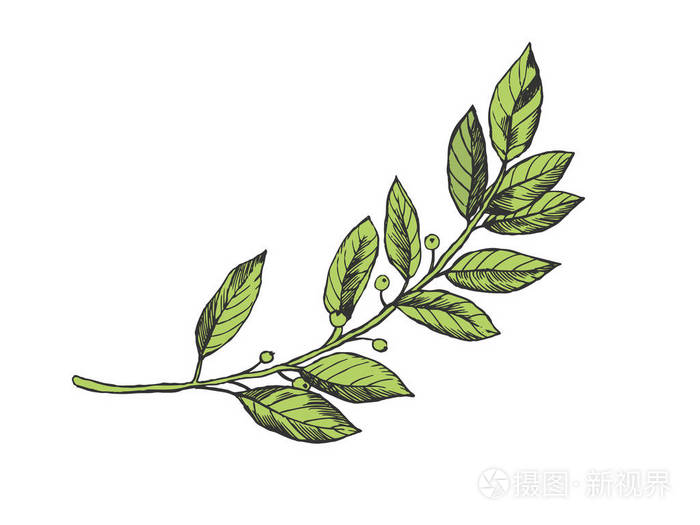 划痕板式模仿.手绘图像