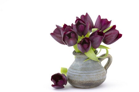 花瓶里的紫色郁金香