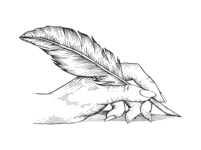 绘图的羽毛手工书写与笔羽毛素描雕刻向量例证划痕板式模仿