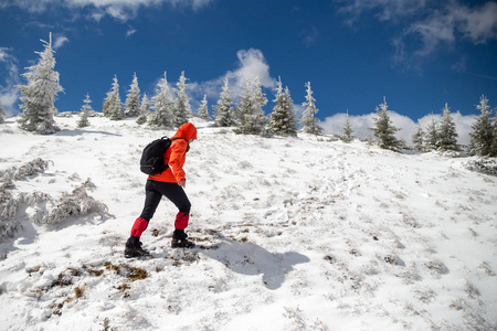 在罗马尼亚的布塞吉山上，一位有权势的妇女奋力向雪山山脊走去，在雪中覆盖着孤立的冷杉树，风从冬天前的徒步旅行中刮来