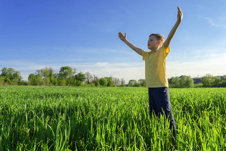 一个男孩站在绿色的草坪上,双臂举在蓝天背景上照片