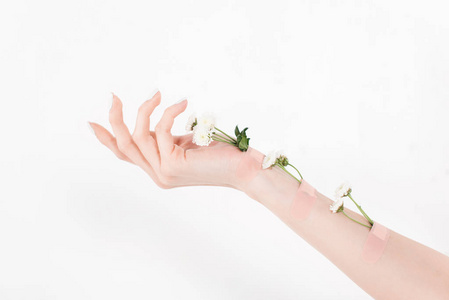 白色背景环保理念，手拿鲜花的女性裁剪视角