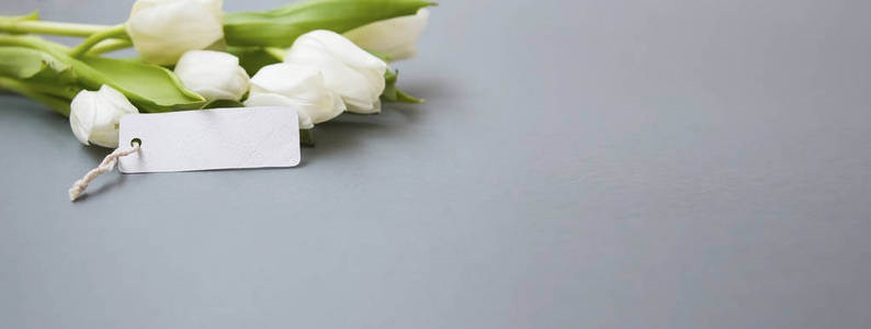 白色郁金香花束，空白复印空间卡，灰色背景春假，问候静物