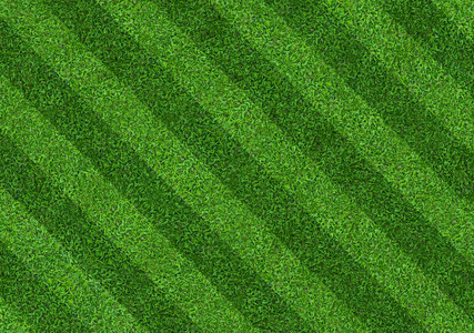 足球和足球运动的绿草地背景。 绿色草坪图案和纹理背景。 关闭图像。