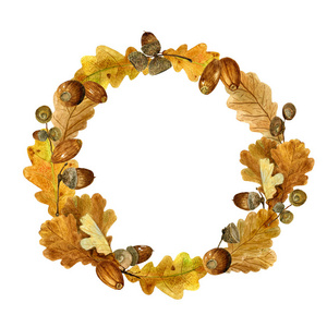 秋叶和橡子的水色花环。明亮的橡木叶子和分枝的秋天构成