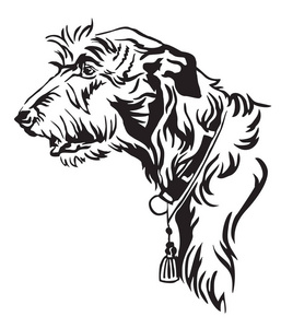 装饰轮廓肖像的狗爱尔兰狼狗看轮廓矢量插图在黑色隔离在白色背景。 用于设计和纹身的图像。