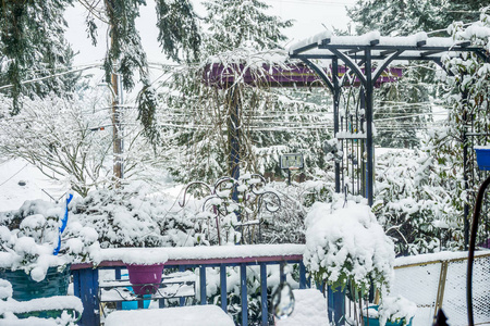 在伯里恩华盛顿，一个被雪覆盖的前。