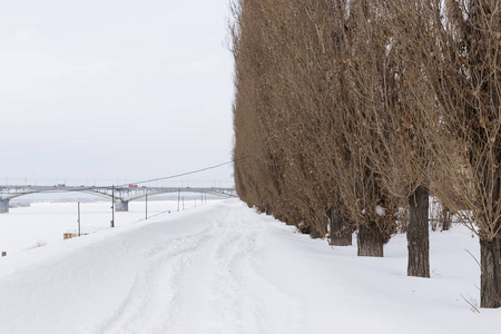 雪覆盖的河堤..冬季城市景观。诺夫哥罗德，俄罗斯。