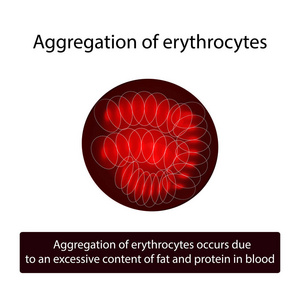 红色的血液细胞的聚集。红细胞。对孤立背景矢量图