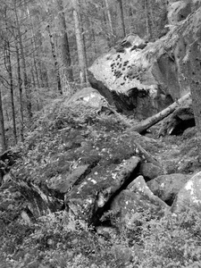 喀尔巴阡山脉森林中的一块巨大的石头