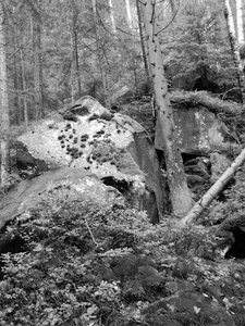 喀尔巴阡山脉森林中的一块巨大的石头