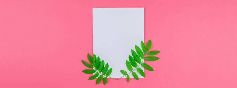 创意平躺顶部视图白色字母模拟与新鲜绿色罗旺树叶在明亮的粉红色背景与复制空间在最小的杜通流行艺术风格模板的文本。 长宽的旗帜