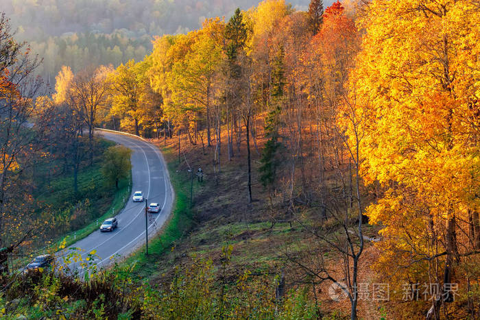 乡村道路和红黄橙树的景观. 高速公路穿过高贾国家公园的顶部景观.