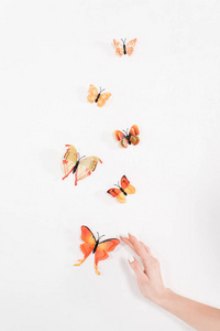 近橙色蝴蝶在白色背景下飞舞的女性手的裁剪视图，环保理念