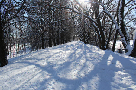 冬天森林里的雪路通往森林的道路的照片。季节是冬天。 寒冷，霜冻，阳光明媚。美丽的自然景观。白雪中的树木。国家俄罗斯。