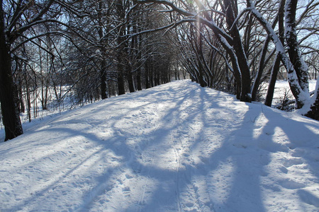 冬天森林里的雪路通往森林的道路的照片。季节是冬天。 寒冷，霜冻，阳光明媚。美丽的自然景观。白雪中的树木。国家俄罗斯。