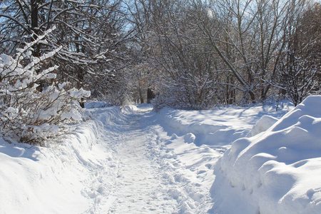 冬天森林里的雪路通往森林的道路的照片。季节是冬天。 寒冷，霜冻，阳光明媚。美丽的自然景观。白雪中的树木。国家俄罗斯。