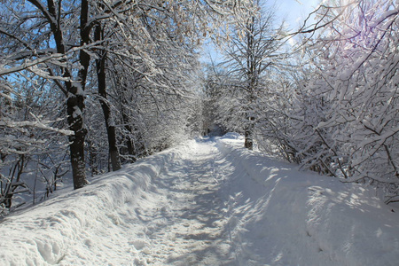 冬天森林里的雪路通往森林的道路的照片。季节是冬天。 寒冷，霜冻，阳光明媚。美丽的自然景观。白雪中的树木。国家俄罗斯。