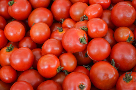 新鲜樱桃番茄背景一堆成熟的红色番茄藤质地在篮子中收获有机蔬菜农场花园。