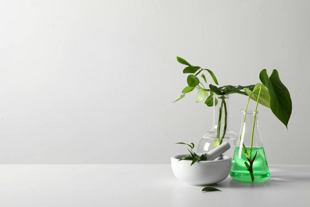陶瓷砂浆和实验室玻璃器皿与植物在白色背景。 化学概念