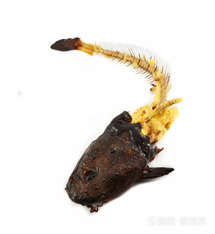 白底鲶鱼的鱼骨