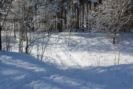 冬天森林里的雪路通往森林的道路的照片。季节是冬天。 寒冷，霜冻，阳光明媚。美丽的自然景观。白雪中的树木。国家俄罗斯。