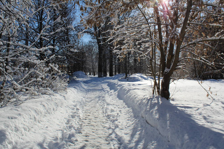 冬天森林里的雪路通往森林的道路的照片。季节是冬天。 寒冷，霜冻，阳光明媚。美丽的自然景观。白雪中的树木。国家俄罗斯。