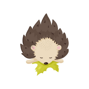 小刺猬幼崽睡觉, 头靠在一片黄叶上.