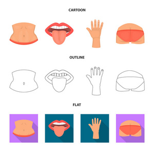 主体和零件图标的独立对象。股票的身体和解剖向量图标的集合