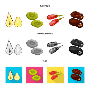 食品和生标的矢量设计。收集食品和自然载体图标的股票