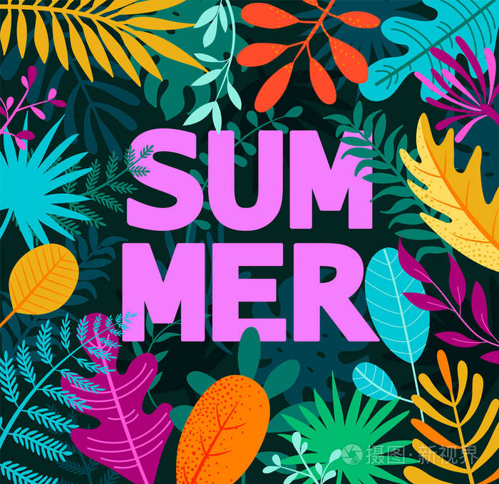 带有热带叶子的夏季海报.