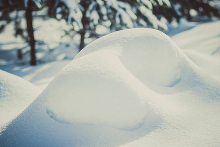 白雪皑皑的雪堆在美丽的冬日松林中