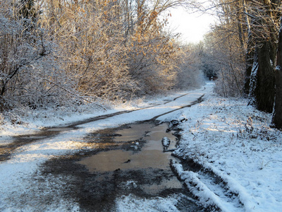 雪覆盖了农村的街道，雪后泥泞的道路在晴天。 冬季景观与农村公路外冻水坑在森林中