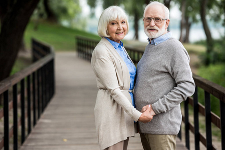 幸福的老夫妇站在木桥上，手牵手