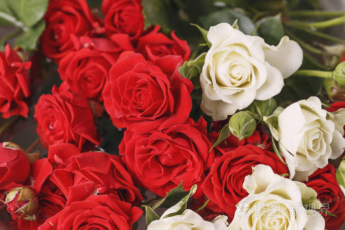 新鲜的红白玫瑰花束,鲜艳的背景