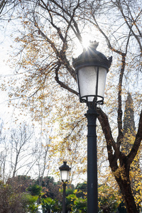 老黄铜路灯位于公园里，背景是树枝和太阳。