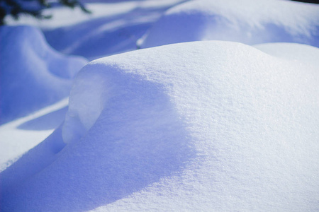 白雪皑皑的雪堆在美丽的冬日松林中