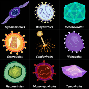 virusology深色背景矢量插图上的不同病毒序列集照片