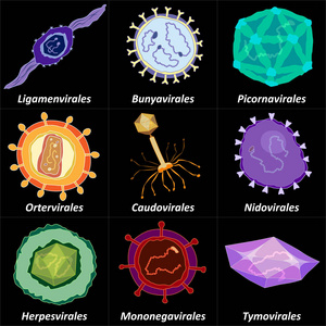 深色背景矢量插图上的不同病毒序列集
