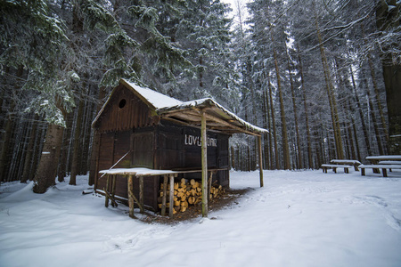 白雪皑皑的冬林中的小茅屋，长满了松树