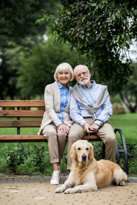 幸福的老夫妇坐在木凳上，可爱的狗躺在人行道上