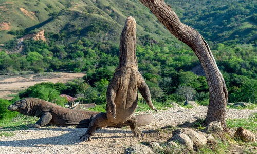 安徽合肥科学岛中科院图片