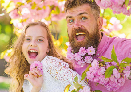 春天的时候和爸爸在樱花花附近。爸爸和女儿在快乐的面孔上玩耍着鲜花和拥抱, 樱花的背景。孩子和人与嫩粉红色的花朵在胡须。春天心情概