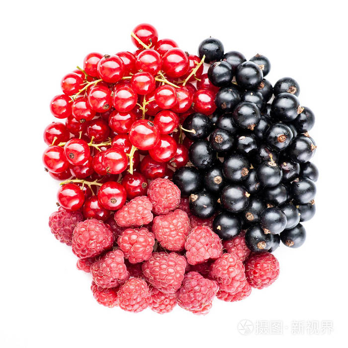白色背景上分离的黑加仑红加仑和覆盆子