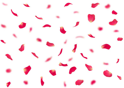 s day background or cards made of rose petals. In the background
