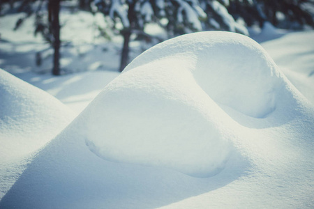 白雪皑皑的雪堆在美丽的冬日松林中