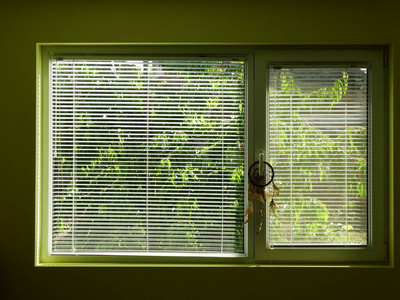 绿色窗户上的花园景色