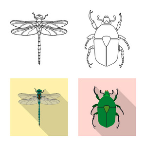 昆虫和苍蝇的孤立对象图标。昆虫和元素股票矢量图集