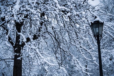 雪完全覆盖后公园里的树和灯笼。