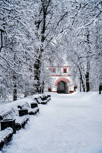 降雪后在Kolomenskoye公园跟踪